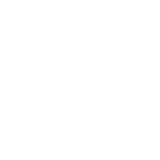 Cerimònies personalitzades