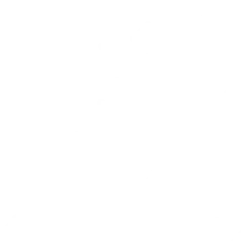 Animació itinerant i espectacles interactius