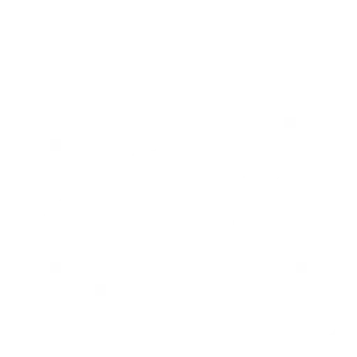 Música i actuacions en directe