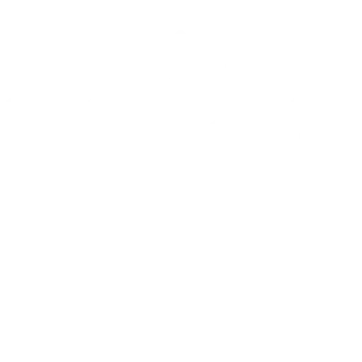 Organització d’esdeveniments a l’aire lliure