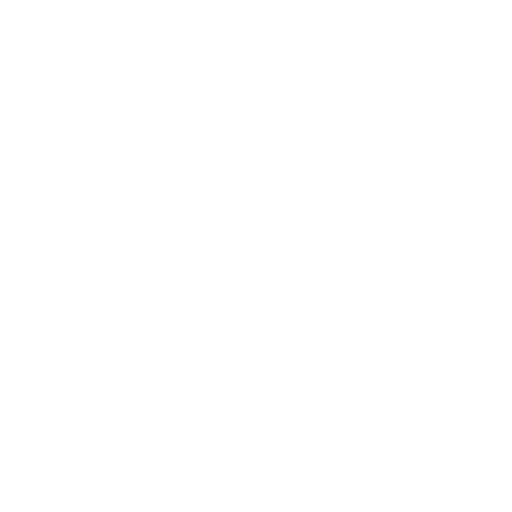 Festes d’incentius