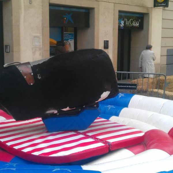 995_x_alquiler-toro-mecanico-medirflash.com