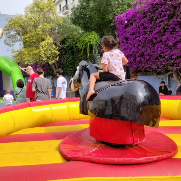 IMG_20240608_172741264_HDR