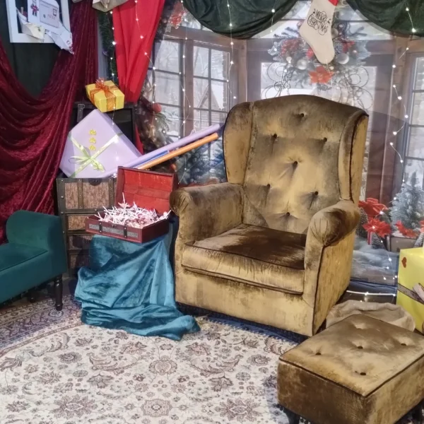 IMG_20241220_173524494